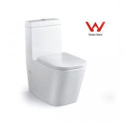 Wash Down Watermark Two Piece Toilet